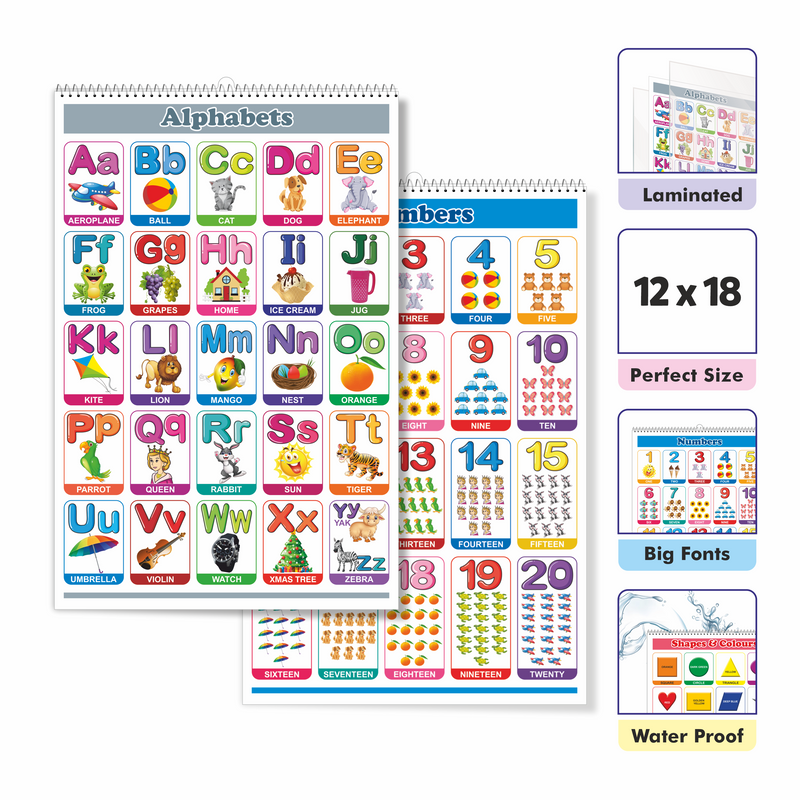 Look N Learn Junior Educational Chart | 11 Subjects | 12x18 inch | 6 Pages Front & Back | Kids Age 2+