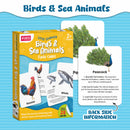 Little Learner - Flash Card (Birds & Sea Animals)