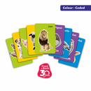 2 in 1 Flash Cards - Animals & Birds