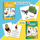 Little Learner Flash Cards - Box (12 Set's)