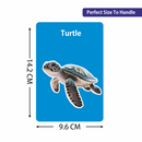 2 in 1 Flash Cards - Animals & Birds