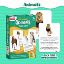 Little Learner - Flash Card (Animals)