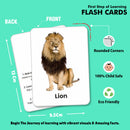 Little Learner - Flash Card (Animals)