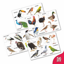 Pre School Puzzle PVC - Birds