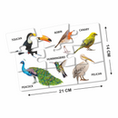 Pre School Puzzle PVC - Birds