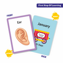 2 in 1 Flash Cards - Body Parts & Days, Months, Seasons